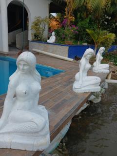 Hotel river blue Tlacotalpan - 7