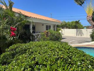 Blue Marlin Apartments, nabij Mambo Beach - 4