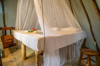 Treehouse Kitecamp Jericoacoara - 3