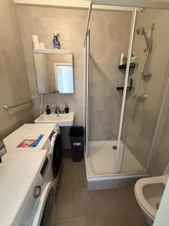 Spacious apartment on Geneva's doorstep - 1