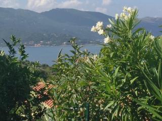 Panoramic Seaview studio Tiuccia - Casaglione - 1