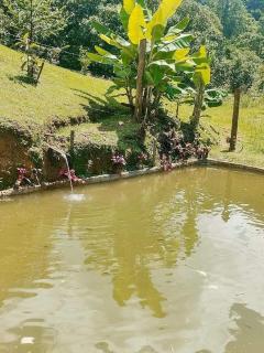 Casa Pereira - 9