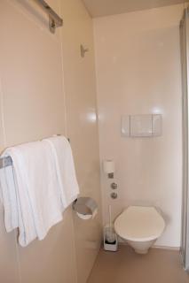 Hotel Glärnisch Hof - Horgen - 6