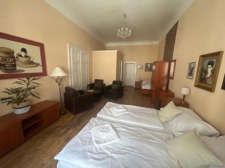 Pension Karlova - 8