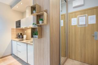 Comfortable Studio with Mountain View and Outdoor Parking in Szklarska Poręba by Noclegi Renters - 9