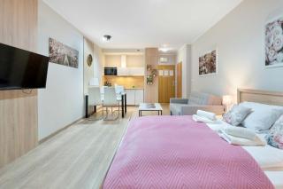 Comfortable Studio with Mountain View and Outdoor Parking in Szklarska Poręba by Noclegi Renters - 3