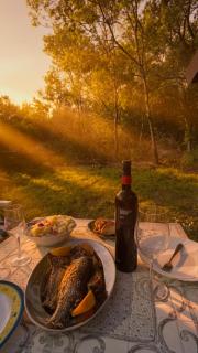 Lela Holiday Home Ada Bojana - 1