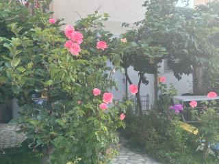 Apartman Struga - 3
