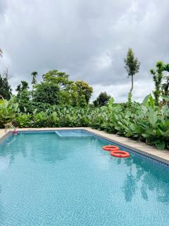 Manayath Wayanad Premium Pool Resort - 5