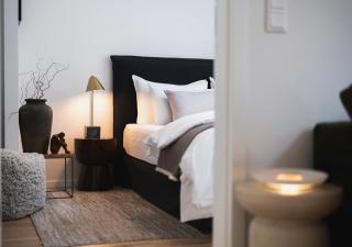 Luxury Loft by Castle&Danube Riverside Parking Free - 4