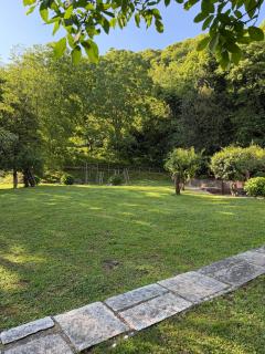 The Cottage in the Trees - 1
