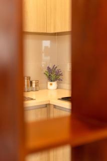 Colombo 2Bed Apartment Panoramic City view TRI-ZEN - 5
