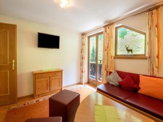 Chalet in Tirol by Zillertal Ski Slopes - 9