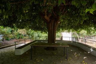 Huerta del Cañamares - 2