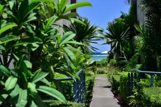 OBiches Beachfront Apartment Trou-aux-Biches - 5