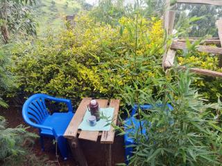 Sunshine Homestay Experience Bunyonyi - 2