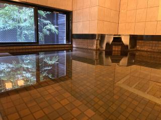 Green Rich Hotel Hiroshima Shinkansenguchi (Artificial hot spring Futamata Yunohana) - 8