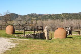 Villa Escutia - Cazalla de la Sierra - 6