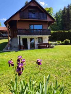 Chalet Zasavka - 4