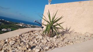 Diar Jabal S3 - 5