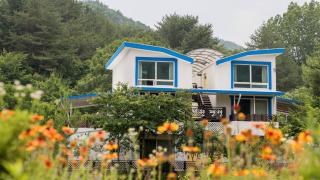 Samcheok Garden Pension - 0