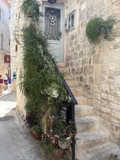 House Morski brk - 6