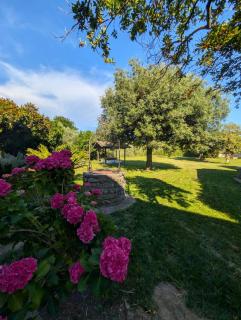 Villa incanto Free Parking Versilia - 1