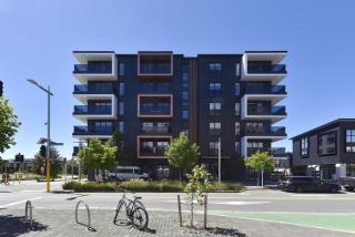 2 Bedroom Delight near Te Kaha Stadium - 8