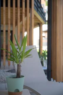 Gratzenthal Boutique Apartments - 3