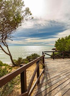 Live on the water located in a fishing village - 7