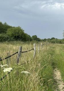 Grand Jardin - Les grandes et petites suites de la Ferme - 6