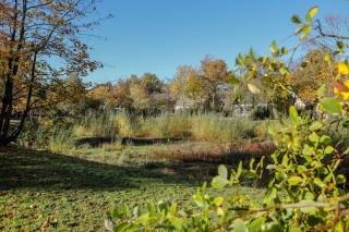 Charmante woning met grote prive tuin 5p - VP116 - 6