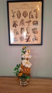 Pannonia Apartman - 3