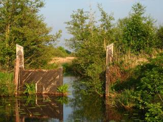 Groepsaccommodatie De Landerij - 9