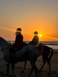 ,,,''' Sidi kaouki Tayoukhte Surf House with Pool ''' ,,, Surfing lessons, Horse Riding & Quad adventures ,,, Local experiences all in one place - 6