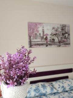 Apartman Nataša, Zlatiborska Vila 1 - FREE PARKING - 1