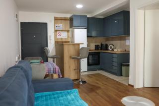 Apartman Gajic Lux - 8