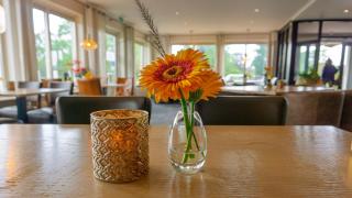 Hotel de Harmonie - 3