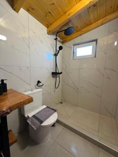 Luxury Beach Villa - 2