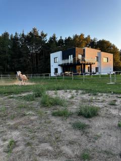 Modern Rancho - apartamenty nad rzeką, przy stadninie koni - 1