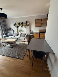 Apartament Słoneczny z widokiem - Hallera - 7