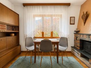 Alpine Retreat - Zoncolan Ski Area & Austria - 9