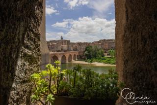 Saudade d'Albi - Garage moto - Vue Tarn et Cathédrale - 6