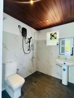 Rainforest cabin - 1