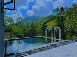 Rainforest cabin - 5