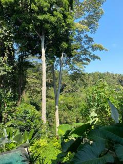 Vishnu Villa - Ubud Jungle Retreat - B - 4
