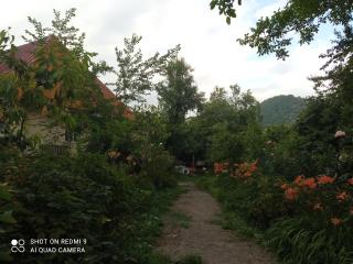 Фазенда - 2