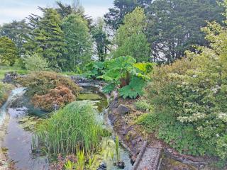 Hillandale Cottage - 3