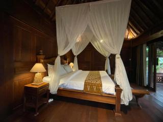 Puri Trisna Ubud Villas with Rice Field View - 8
