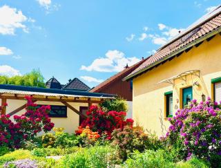 Ferienwohnung Hubertus - 2